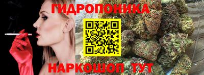 мяу мяу мука Малгобек