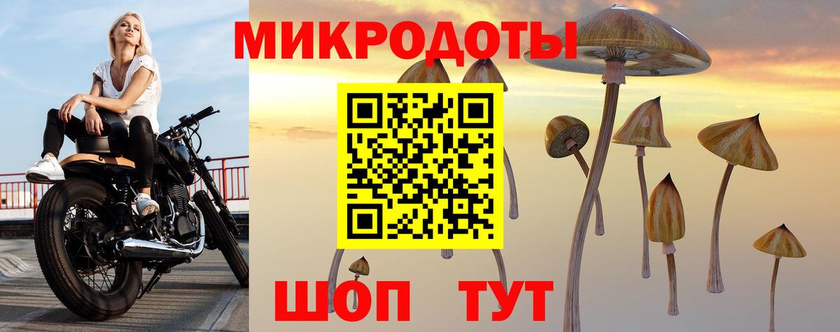 Вольск  Псилоцибиновые грибы мухоморы  Вход с VPN 